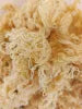 Natural Seamoss (Sun Dried) Golden
