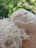 Natural Seamoss (Sun Dried) Golden